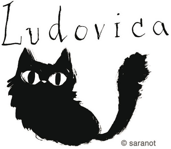 le avventure della gatta ludovica le avventure della gatta ludovica
