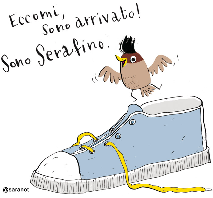 le avventure del passero serafino le avventure del passero serafino